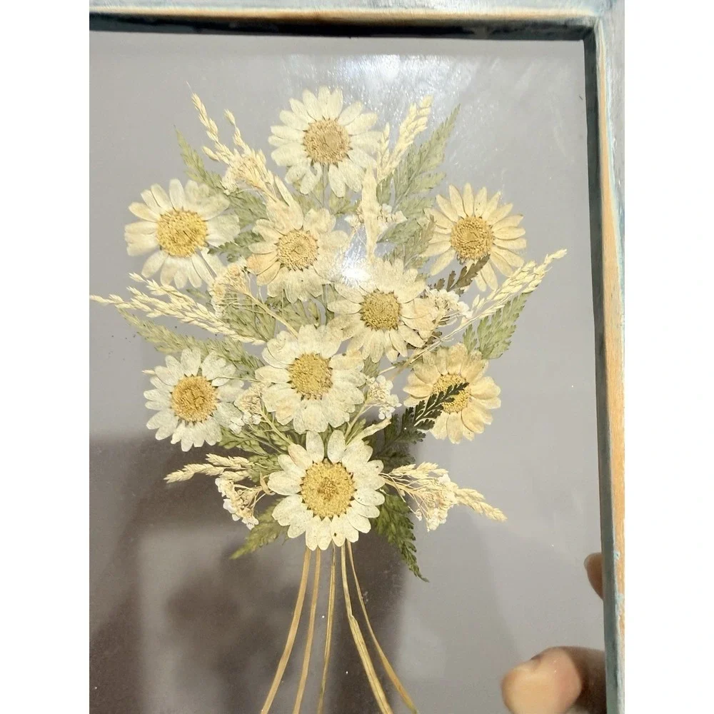 Vintage Pressed Daisy Bouquet Floating Double Glass‎ Blue Wood Frame